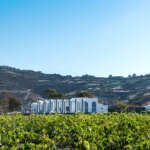 Estate Argyros